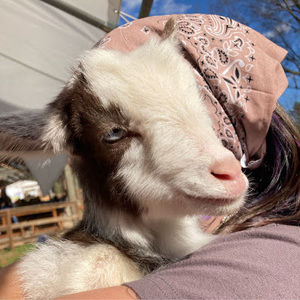 Meet your Posher, Eleanor